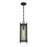Savoy House Jacobs 1Lt Outdoor Hanging Lantern, Black/Clear
