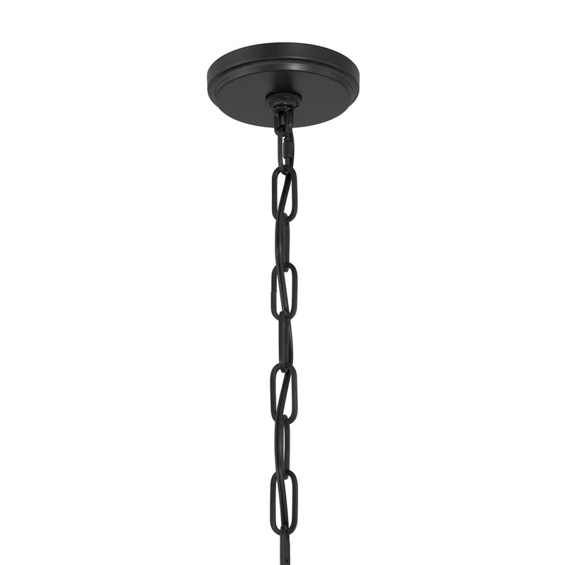 Savoy House Jacobs 1Lt Outdoor Hanging Lantern, Black/Clear