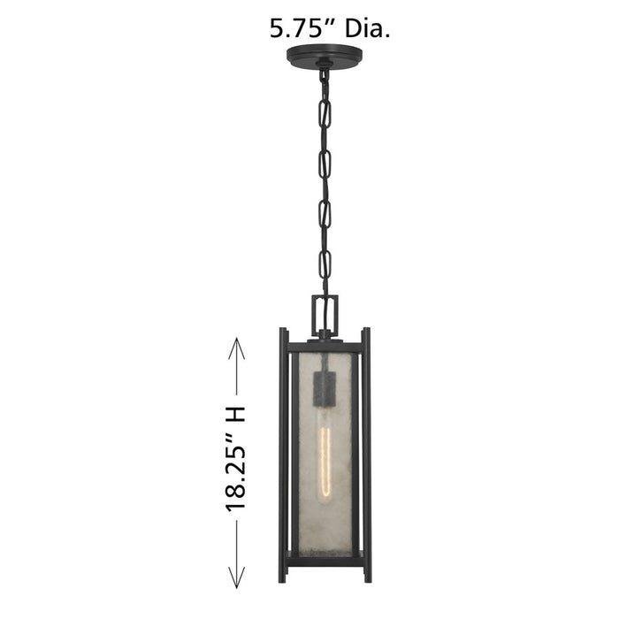 Savoy House Jacobs 1Lt Outdoor Hanging Lantern, Black/Clear