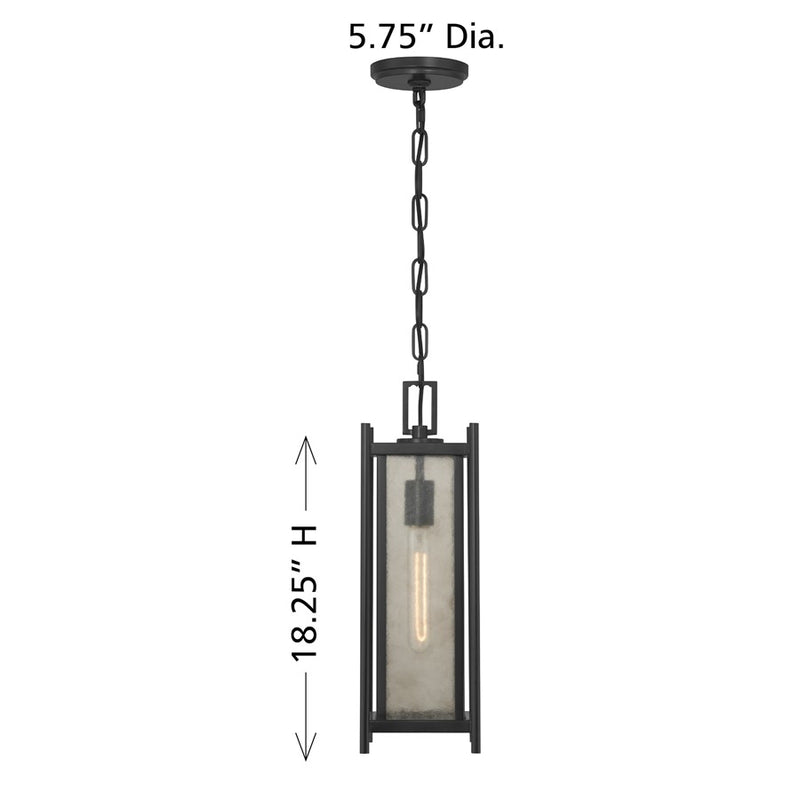 Savoy House Jacobs 1Lt Outdoor Hanging Lantern, Black/Clear