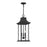 Savoy House Hancock 3-Light Outdoor Hanging Lantern, Matte Black - 5-453-BK