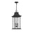 Savoy House Hancock 3-Light Outdoor Hanging Lantern, Matte Black