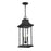Savoy House Hancock 3-Light Outdoor Hanging Lantern, Matte Black
