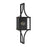 Savoy House Raeburn 1Lt 28" Outdoor Lantern, Black/Brass/Beveled