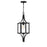 Savoy House Raeburn 1Lt Outdoor Hanging Lantern, Black/Brass/Beveled - 5-475-144