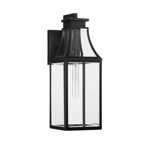 Savoy House Emery 1Lt 20" Outdoor Wall Lantern, Black/Clear Beveled