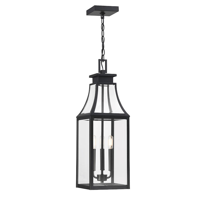 Savoy House Emery 3Lt Outdoor Hanging Lantern, Black/Clear Beveled - 5-608-BK