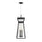 Savoy House Millford 3-Light Outdoor Hanging Lantern, Matte Black