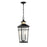 Savoy House Kingsley 2Lt Outdoor Hanging Lantern, Black/Brass - 5-717-143