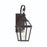 Savoy House Jackson 1 Light Outdoor Sconce, Black/Gold