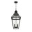 Savoy House Jackson 4Lt Outdoor Hanging Lantern, Black/Gold