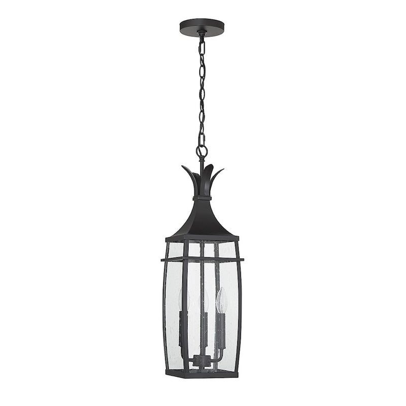 Savoy House Montpelier 3-Light Outdoor Hanging Lantern, Matte Black