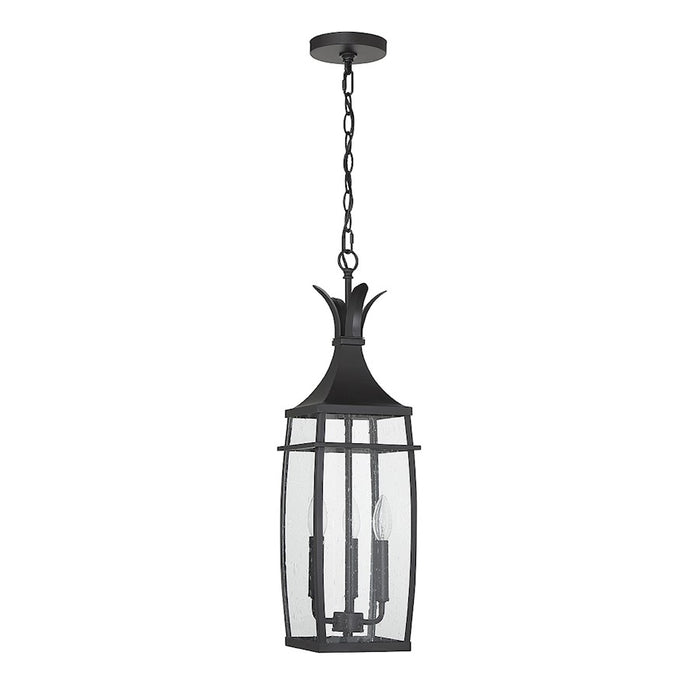 Savoy House Montpelier 3-Light Outdoor Hanging Lantern, Matte Black