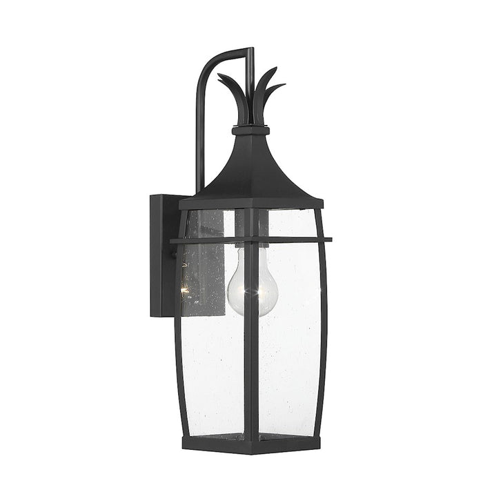 Savoy House Montpelier 1-Light Outdoor Wall Lantern, Matte Black