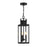 Savoy House Ascott 3Lt Outdoor Hanging Lantern, Black/Clear Seeded - 5-827-BK