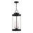 Savoy House Englewood 3 Light Outdoor Hanging Lantern, Black/Clear