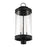 Savoy House Englewood 3 Light Outdoor Post Lantern, Black/Clear