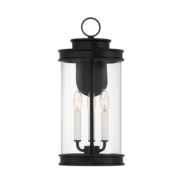 Savoy House Englewood 3 Light 19" Outdoor Wall Lantern, Black/Clear