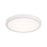 Essentials 1 Light 10" LED Flush Mount, White/Clear