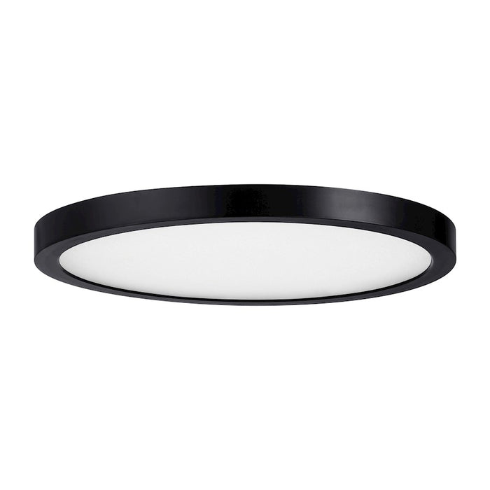 Essentials 1 Light 12" LED Flush Mount, Black/Clear