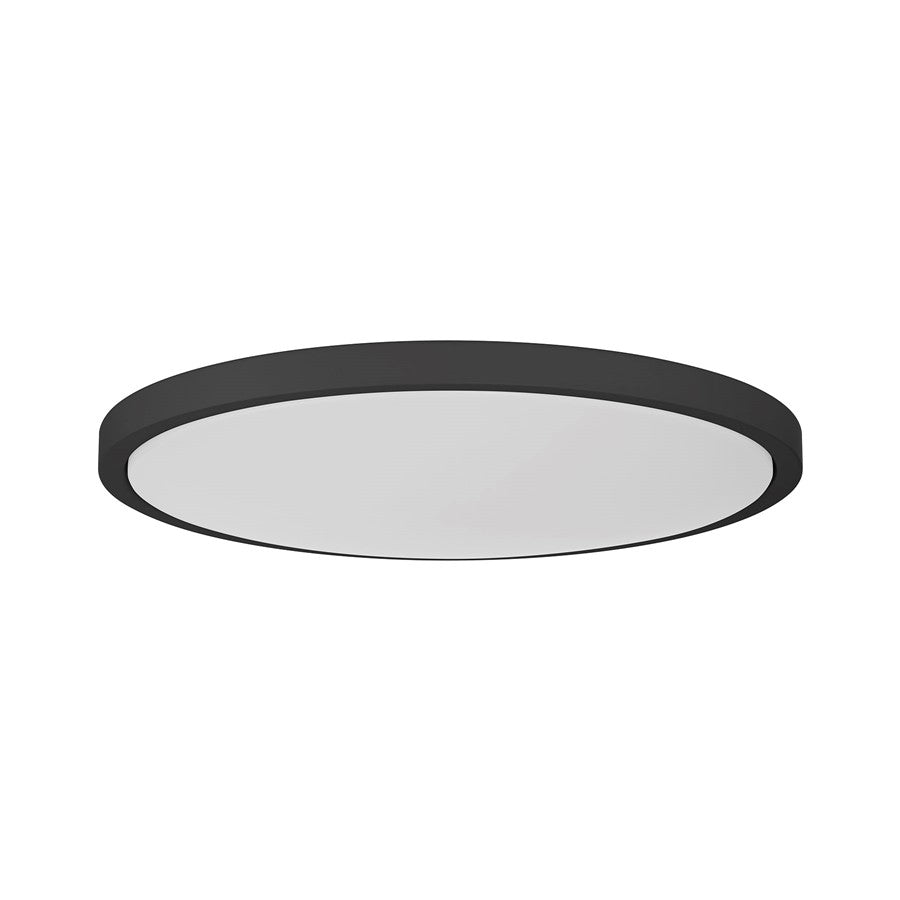 Savoy House Lighting Assets 20" Flush Mount, Black - 6-3333-20-BK