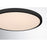 Savoy House Lighting Assets 20" Flush Mount, Black