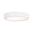 Essentials 1 Light 5" LED Flush Mount, White/Clear - 6-3333-5-WH