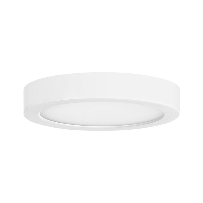 Essentials 1 Light 5" LED Flush Mount, White/Clear