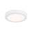 Essentials 1 Light 5" LED Flush Mount, White/Clear