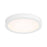 Essentials 1 Light 7" LED Flush Mount, White/Clear