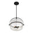 Savoy House Denmar 4Lt Convertible Semi-Flush/Pendant, Black