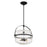 Savoy House Denmar 4Lt Convertible Semi-Flush/Pendant, Black