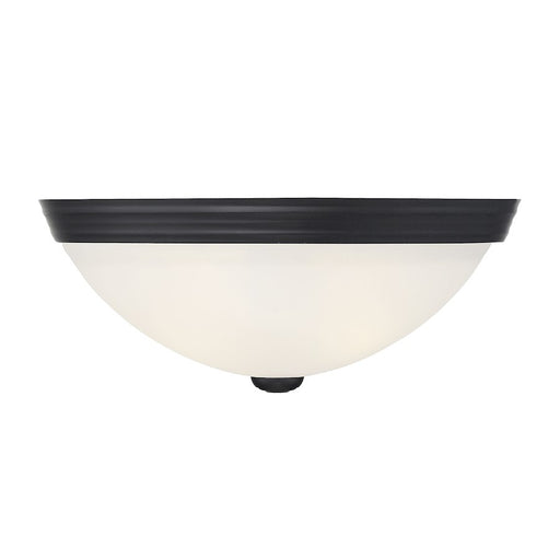 Savoy House 2-Light 13" Ceiling Light, Matte Black/Etched - 6-780-13-BK