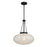 Savoy House Willow 1 Light Pendant, Matte Black/White Cloud