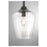 Savoy House Carlton 1-Light Pendant, Matte Black