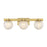 Savoy House Darien 3 Light Bath, Warm Brass/Ice - 8-1017-3-322