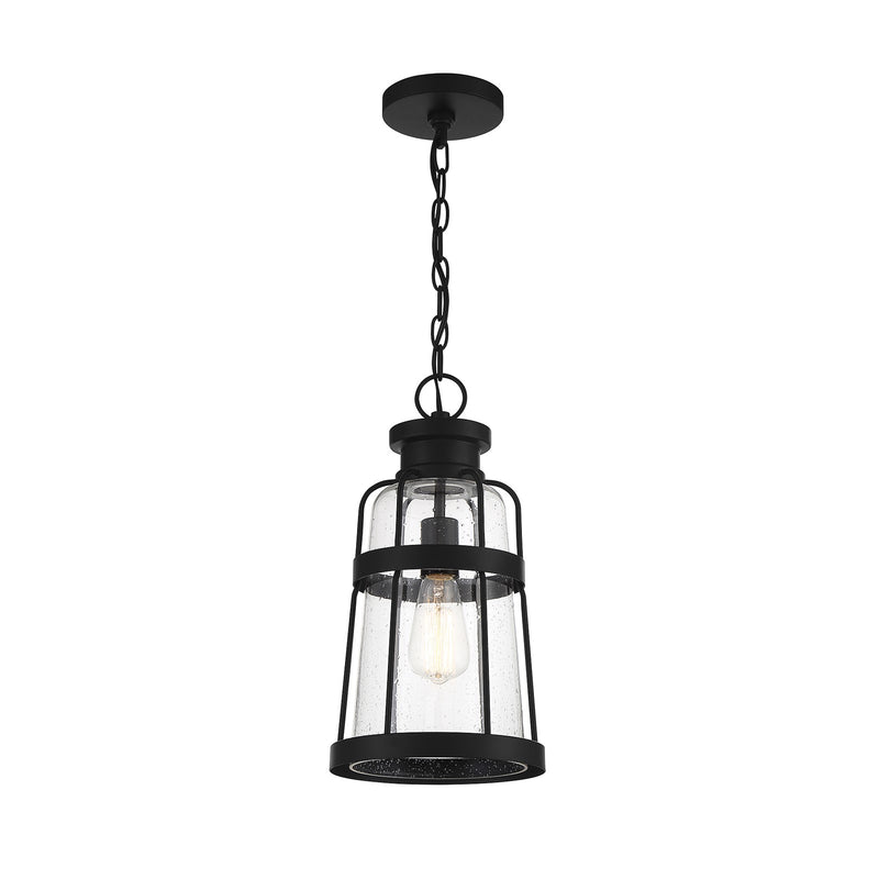 Savoy House Quinton 16.5in 1-Light Outdoor Hanging Lantern | Coastal Matte Black and Clear Seeded Glass | Covered Patio & Porch | Model L5-2943-BK