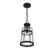 Savoy House Quinton 16.5in 1-Light Outdoor Hanging Lantern | Coastal Matte Black and Clear Seeded Glass | Covered Patio & Porch | Model L5-2943-BK
