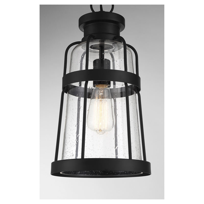 Savoy House Quinton 16.5in 1-Light Outdoor Hanging Lantern | Coastal Matte Black and Clear Seeded Glass | Covered Patio & Porch | Model L5-2943-BK