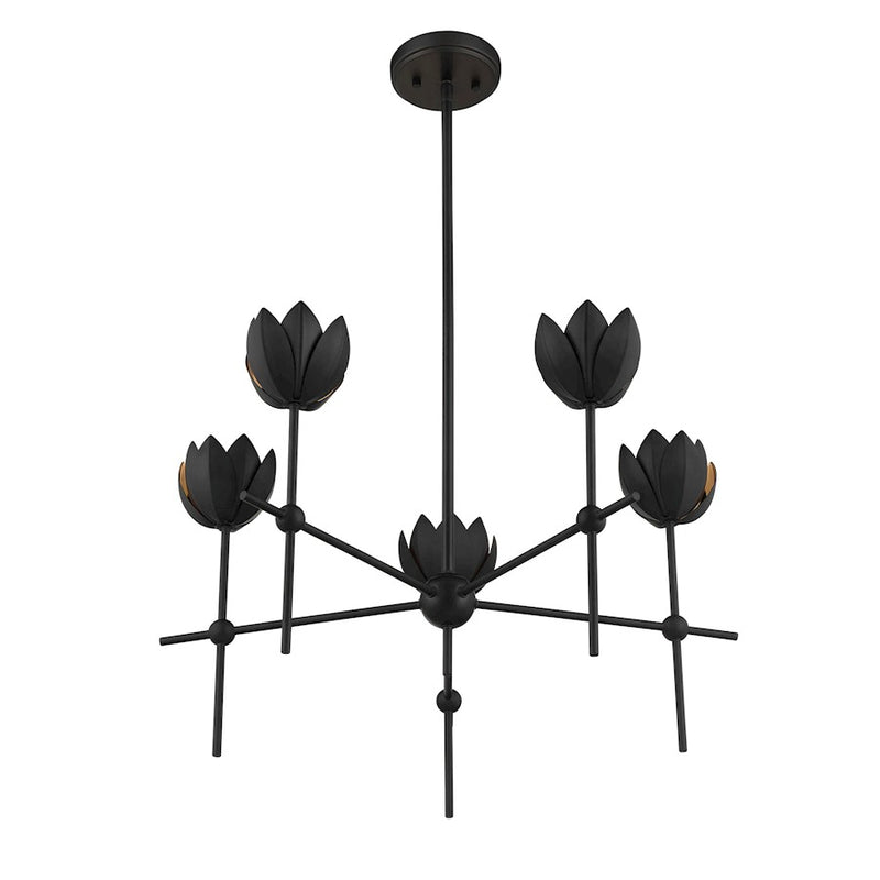 Savoy House Meridian 5Lt 26" Chandelier, Black