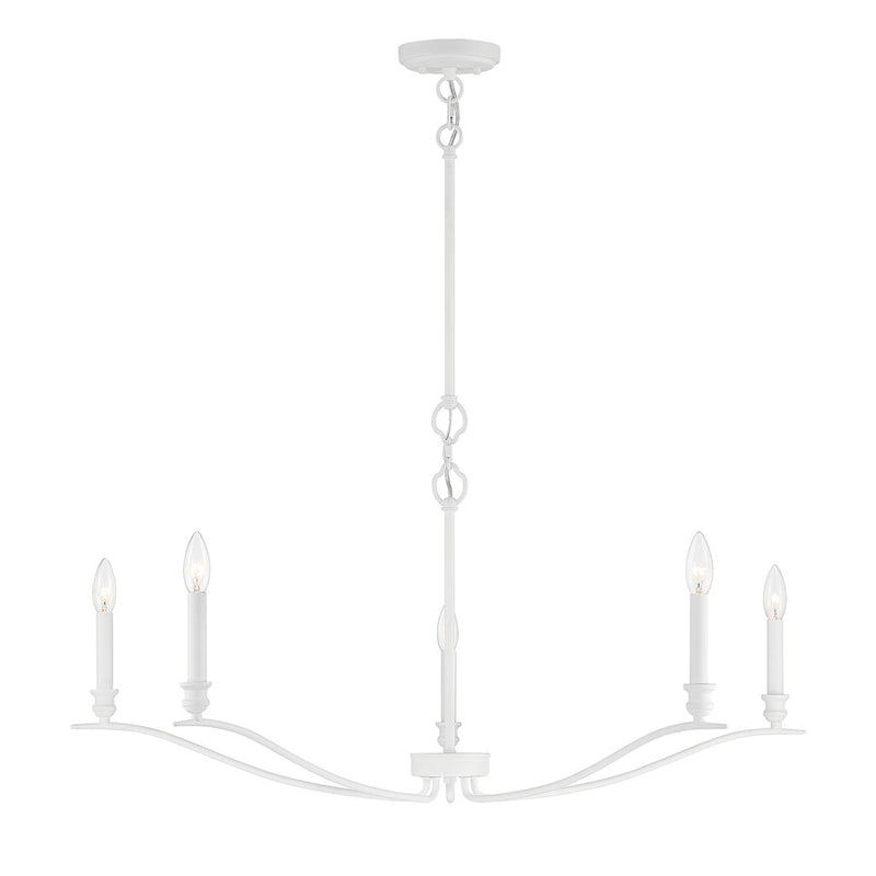 Meridian Transitional 5 Light Chandelier