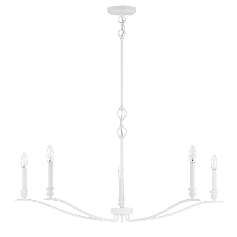 Meridian Transitional 5 Light Chandelier