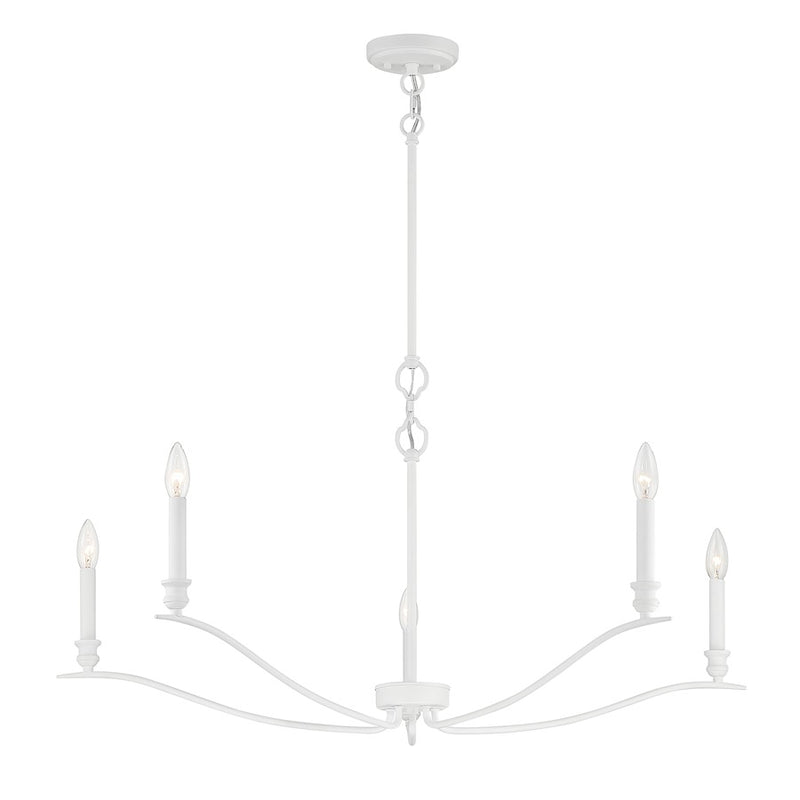 Meridian Transitional 5 Light Chandelier