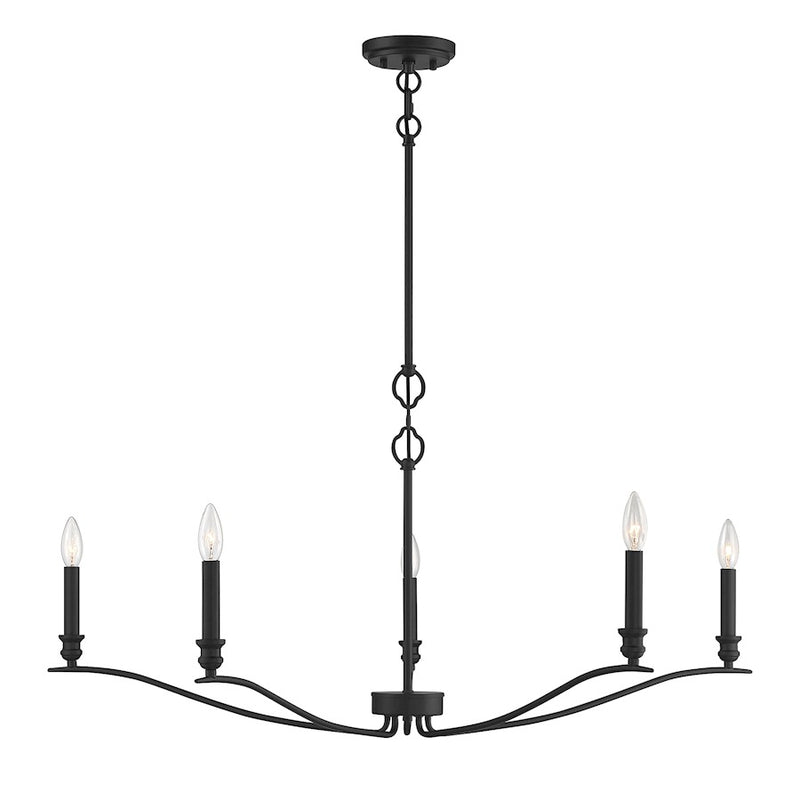 Meridian Transitional 5 Light Chandelier