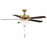 Savoy House 2018 52" 2-Light 26" Ceiling Fan, Natural Brass - M2018NBRV