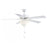 Savoy House 52" 2-Light Ceiling Fan, White - M2018WHRV