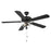 Meridian Traditional 2 Light 52" Ceiling Fan