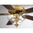 Meridian Traditional 2 Light 52" Ceiling Fan