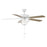 Meridian Traditional 2 Light 52" Ceiling Fan