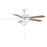 Meridian Traditional 2 Light 52" Ceiling Fan